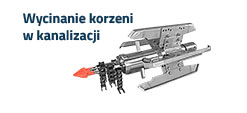 wycinanie korzeni